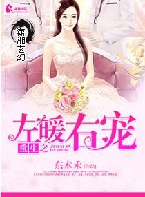 重生之左暖右愛