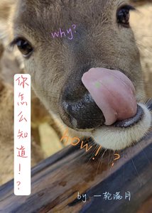 你怎么知道!?