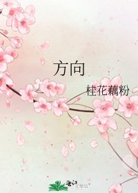 方向